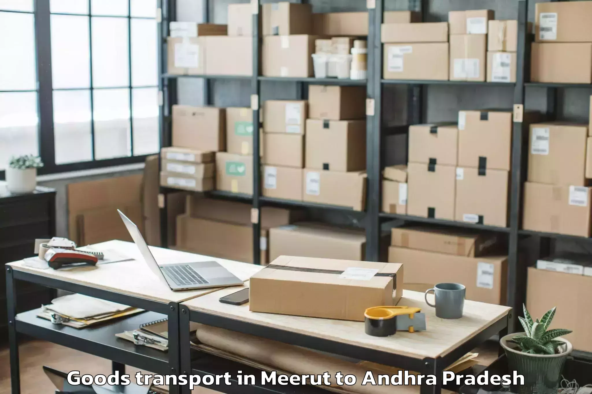 Professional Meerut to Pavuluru Goods Transport